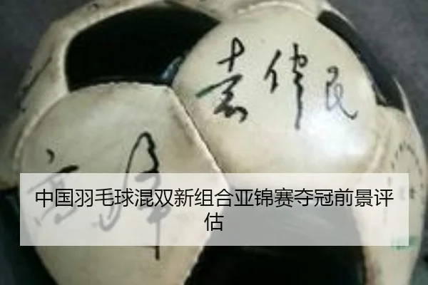 中国羽毛球混双新组合亚锦赛夺冠前景评估